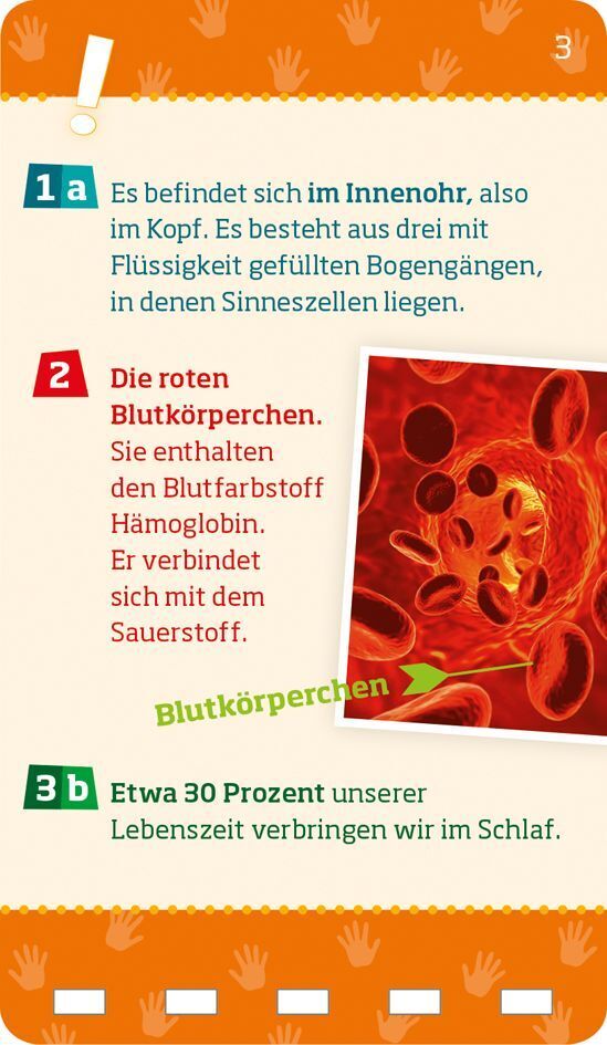 Bild: 9783788676186 | WAS IST WAS Quiz Körper | Lisa Hebler | Taschenbuch | Spiralbindung