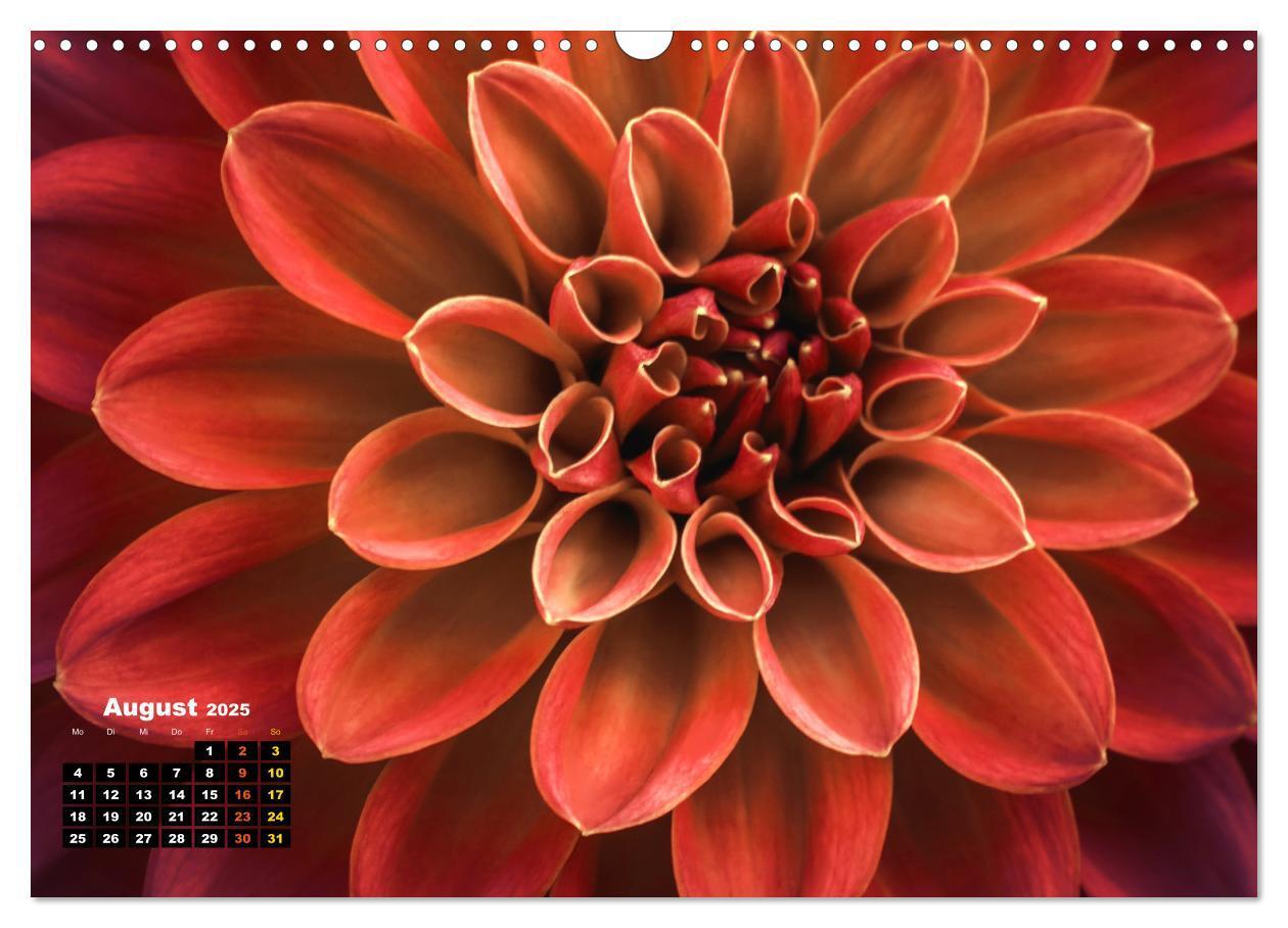 Bild: 9783383761706 | Abstrakte Natur (Wandkalender 2025 DIN A3 quer), CALVENDO...