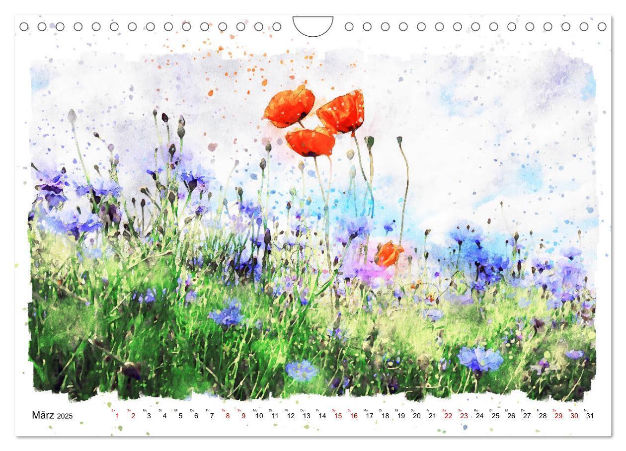 Bild: 9783435141241 | Mohnblüten in Aquarell (Wandkalender 2025 DIN A4 quer), CALVENDO...