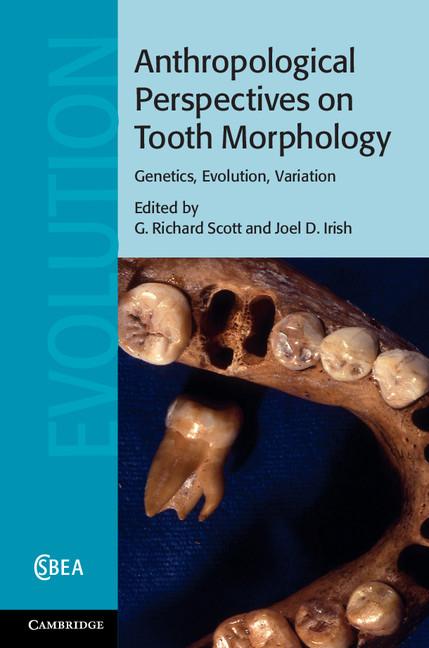 Cover: 9781107011458 | Anthropological Perspectives on Tooth Morphology | Scott (u. a.)