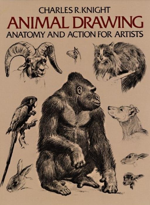 Cover: 9780486204260 | Animal Drawing | Anatomy and Action for Artists | Charles Knight