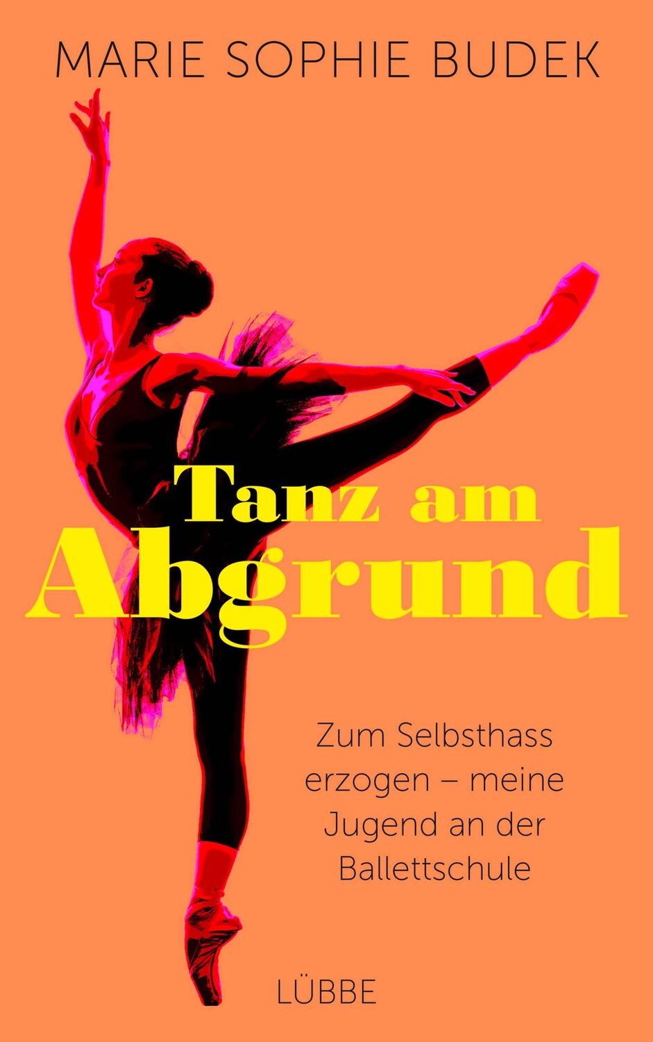 Cover: 9783431050219 | Tanz am Abgrund | Marie Sophie Budek | Taschenbuch | 240 S. | Deutsch