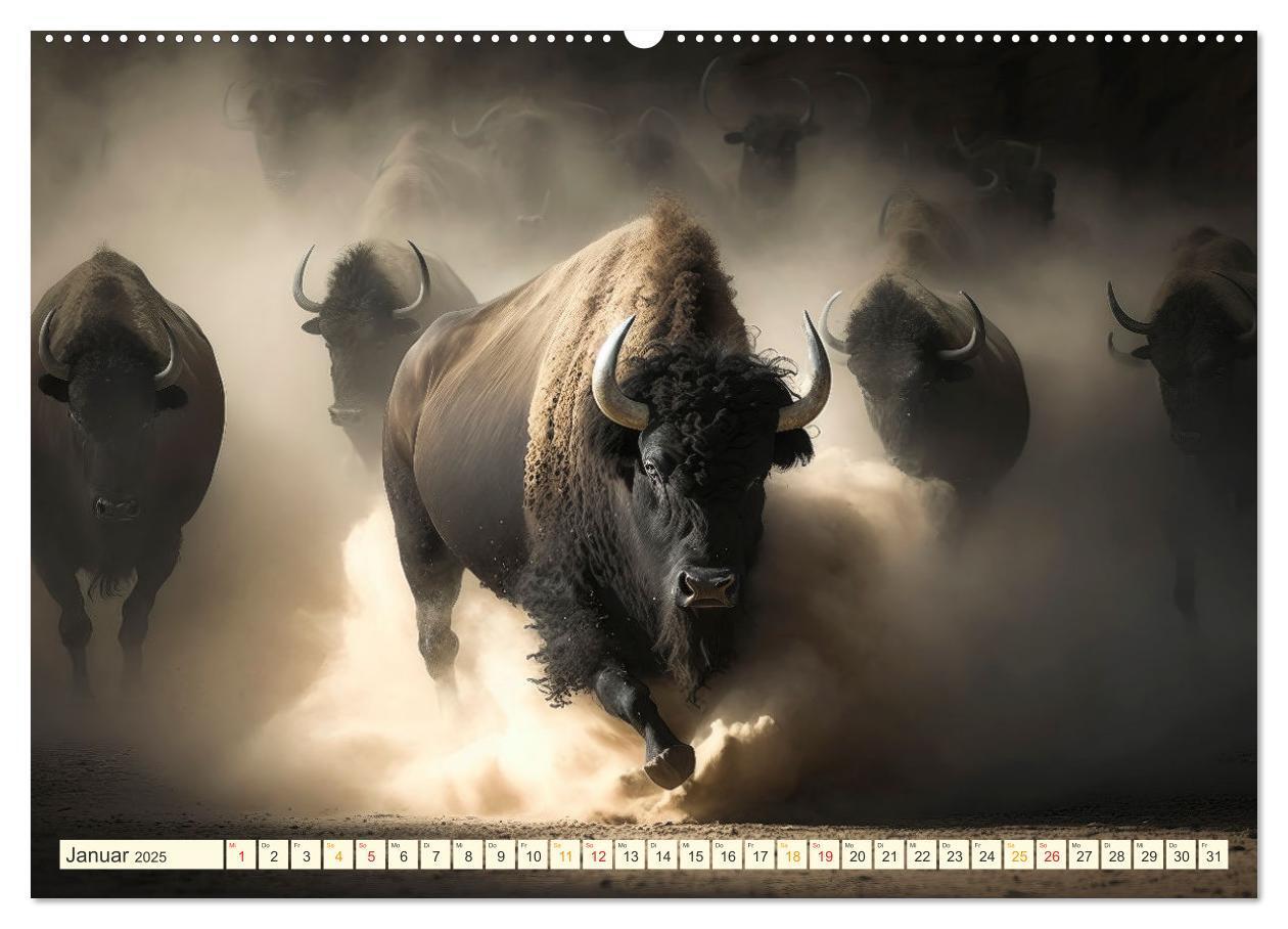 Bild: 9783383911491 | Amerikanischer Bison (Wandkalender 2025 DIN A2 quer), CALVENDO...