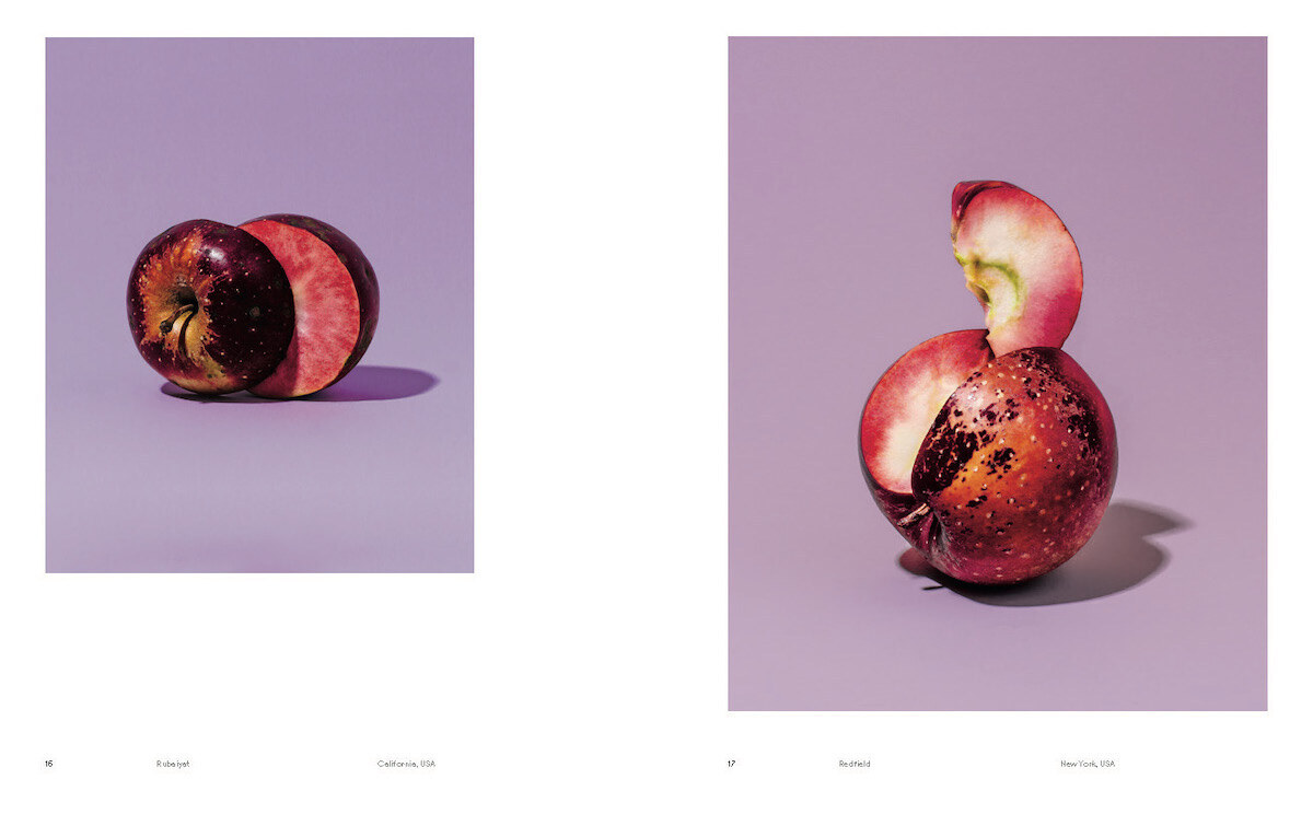 Bild: 9783775751155 | Odd Apples | (Special Edition) | A.A. Trabucco-Campos (u. a.) | Buch