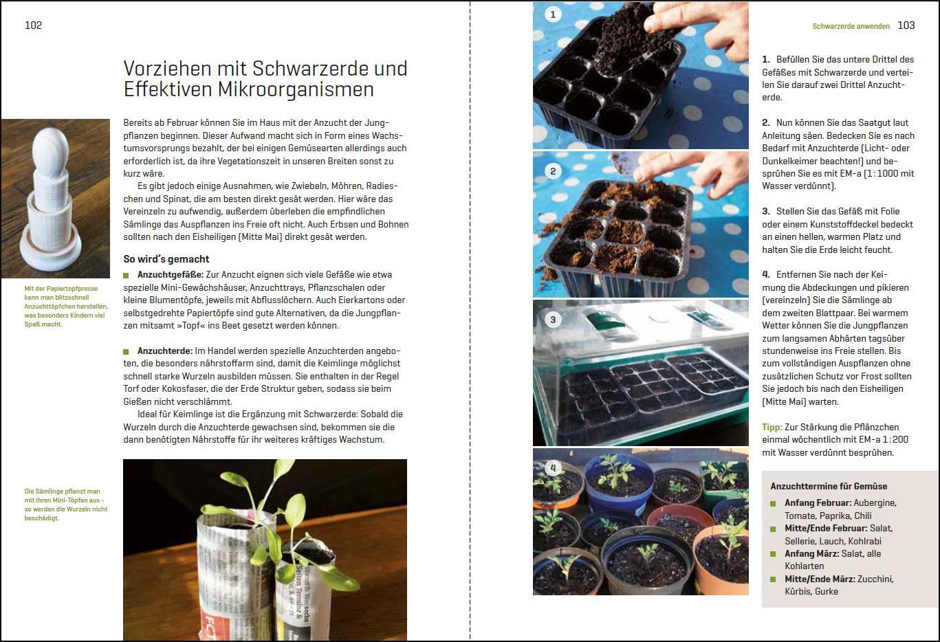 Bild: 9783962380151 | Natürlich gärtnern mit Terra Preta | Caroline Pfützner | Taschenbuch