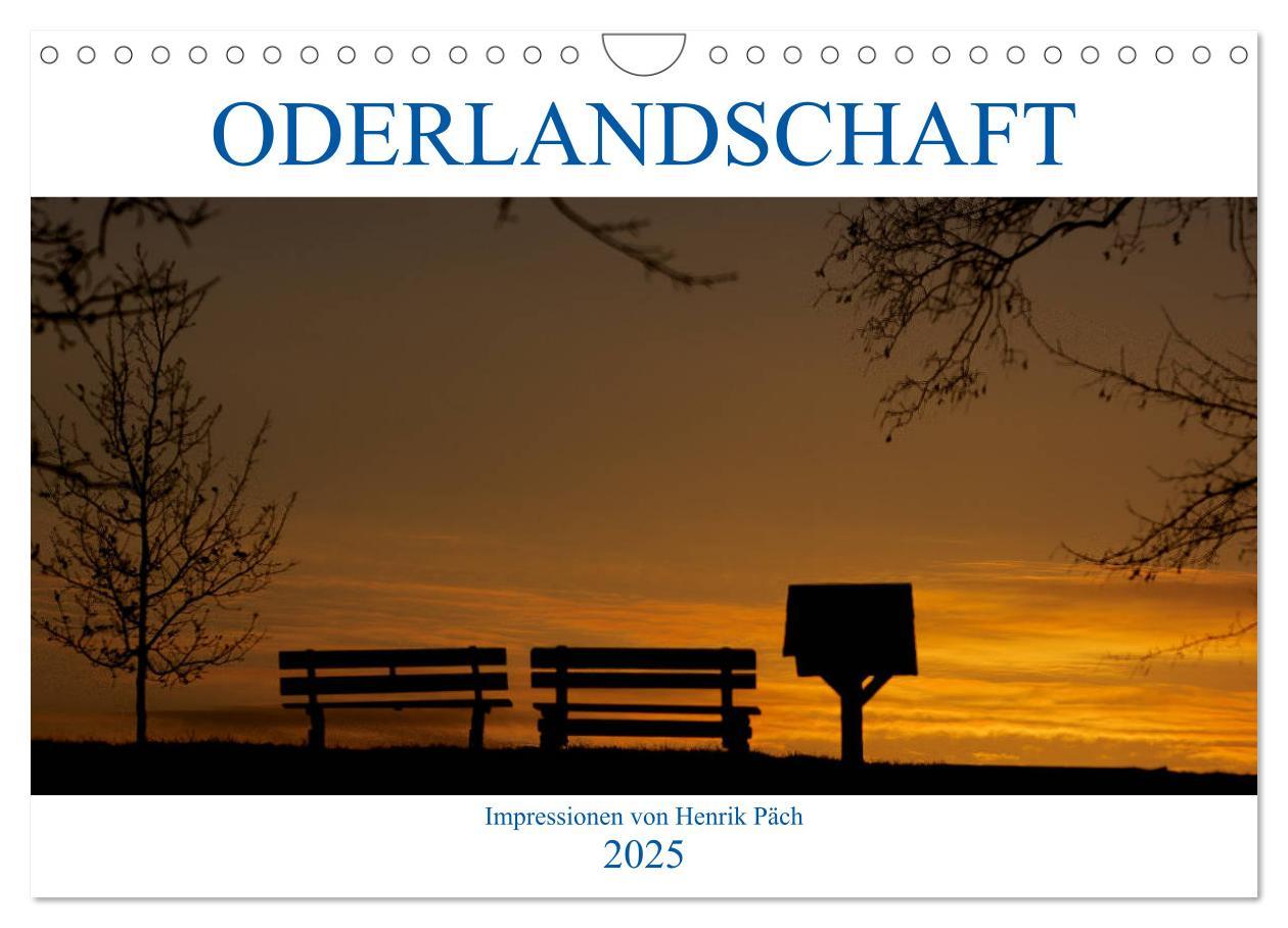 Cover: 9783435442843 | Oderlandschaft (Wandkalender 2025 DIN A4 quer), CALVENDO...