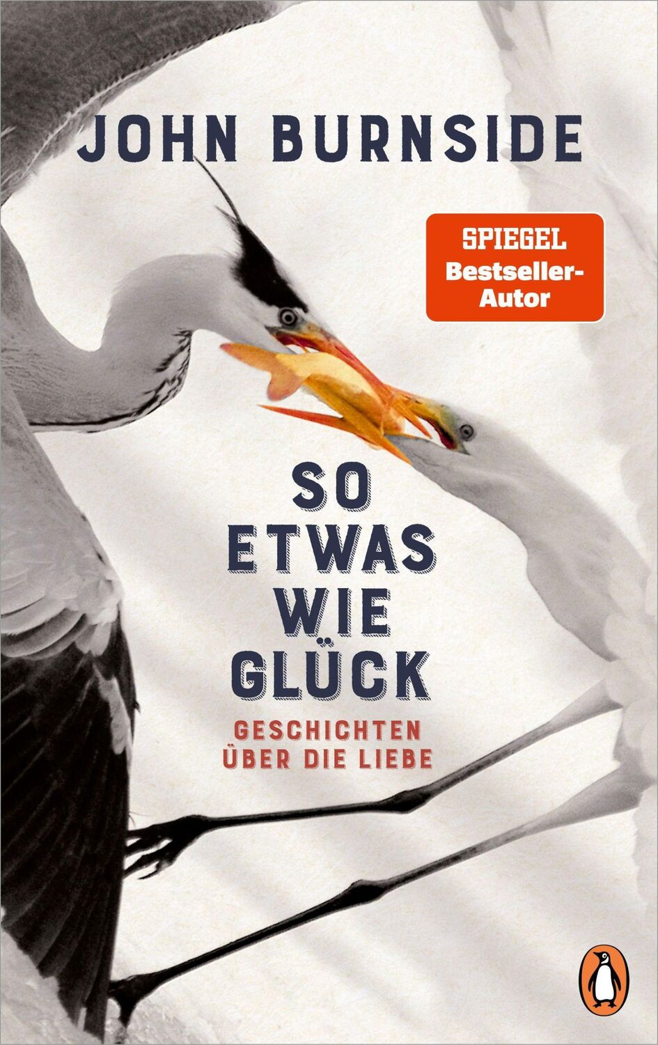 Cover: 9783328602644 | So etwas wie Glück | Geschichten über die Liebe | John Burnside | Buch