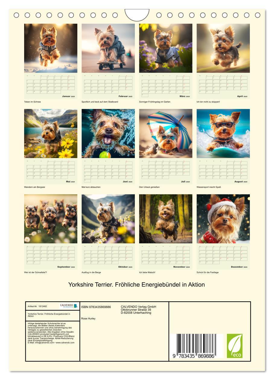 Bild: 9783435869886 | Yorkshire Terrier. Fröhliche Energiebündel in Aktion (Wandkalender...