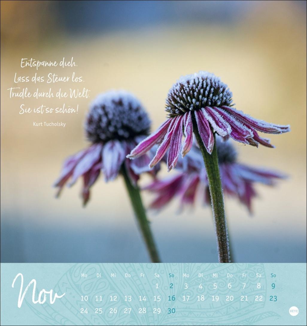 Bild: 9783756406920 | Tage voller Glück Postkartenkalender 2025 | Heye | Kalender | 13 S.