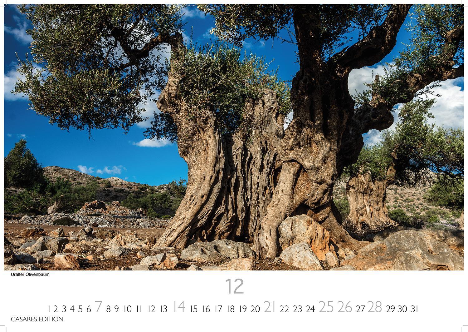 Bild: 9781835240793 | Kreta 2025 S 24x35 cm | Kalender | 14 S. | Deutsch | 2025