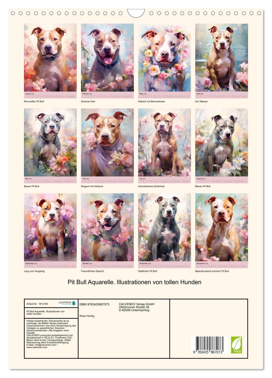 Bild: 9783435867073 | Pit Bull Aquarelle. Illustrationen von tollen Hunden (Wandkalender...