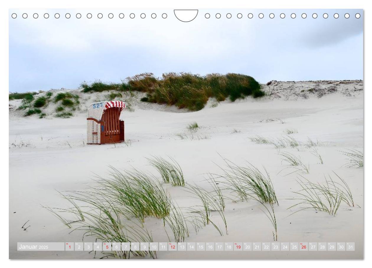 Bild: 9783435715633 | Amrum, die Perle in der Nordsee (Wandkalender 2025 DIN A4 quer),...