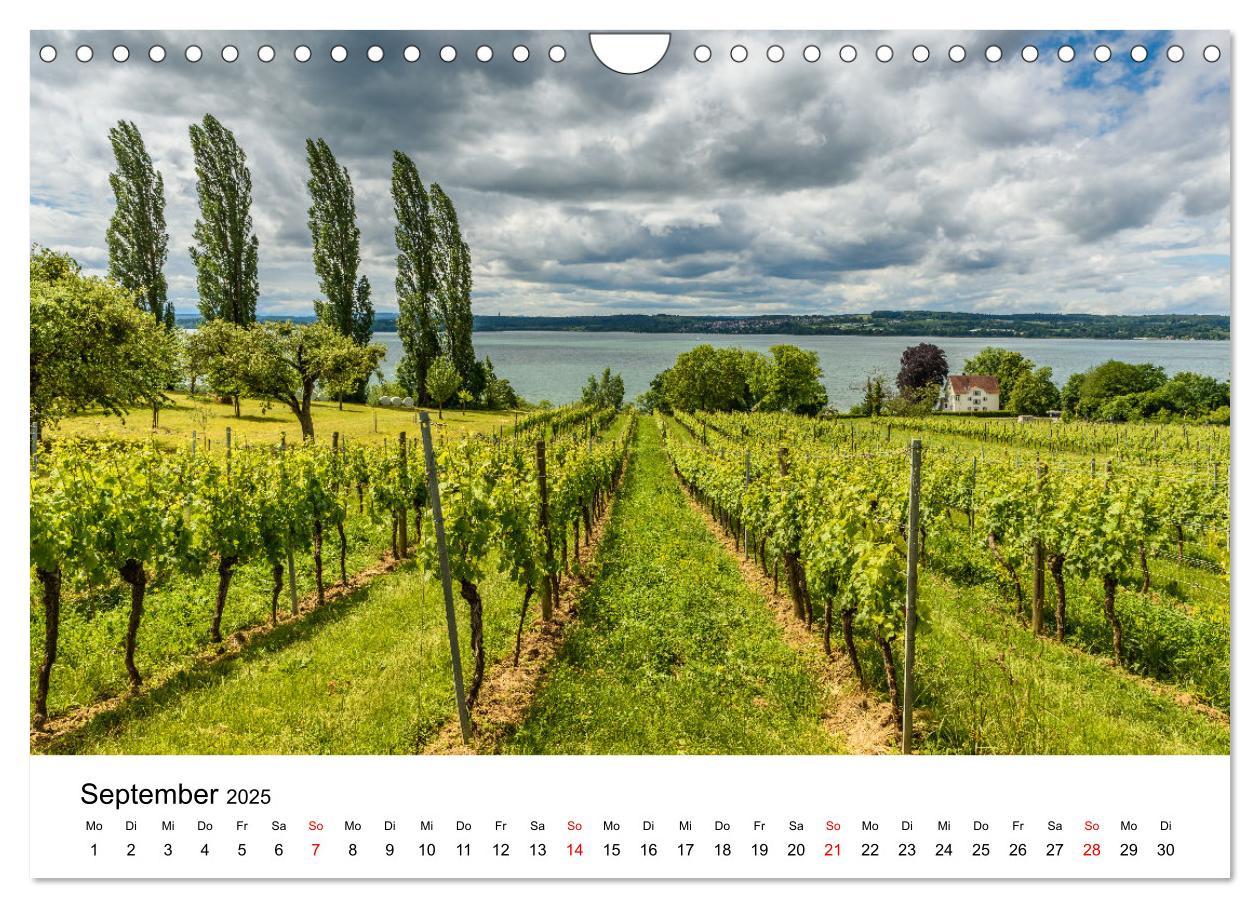 Bild: 9783435068432 | Urlaubsregion Bodensee (Wandkalender 2025 DIN A4 quer), CALVENDO...