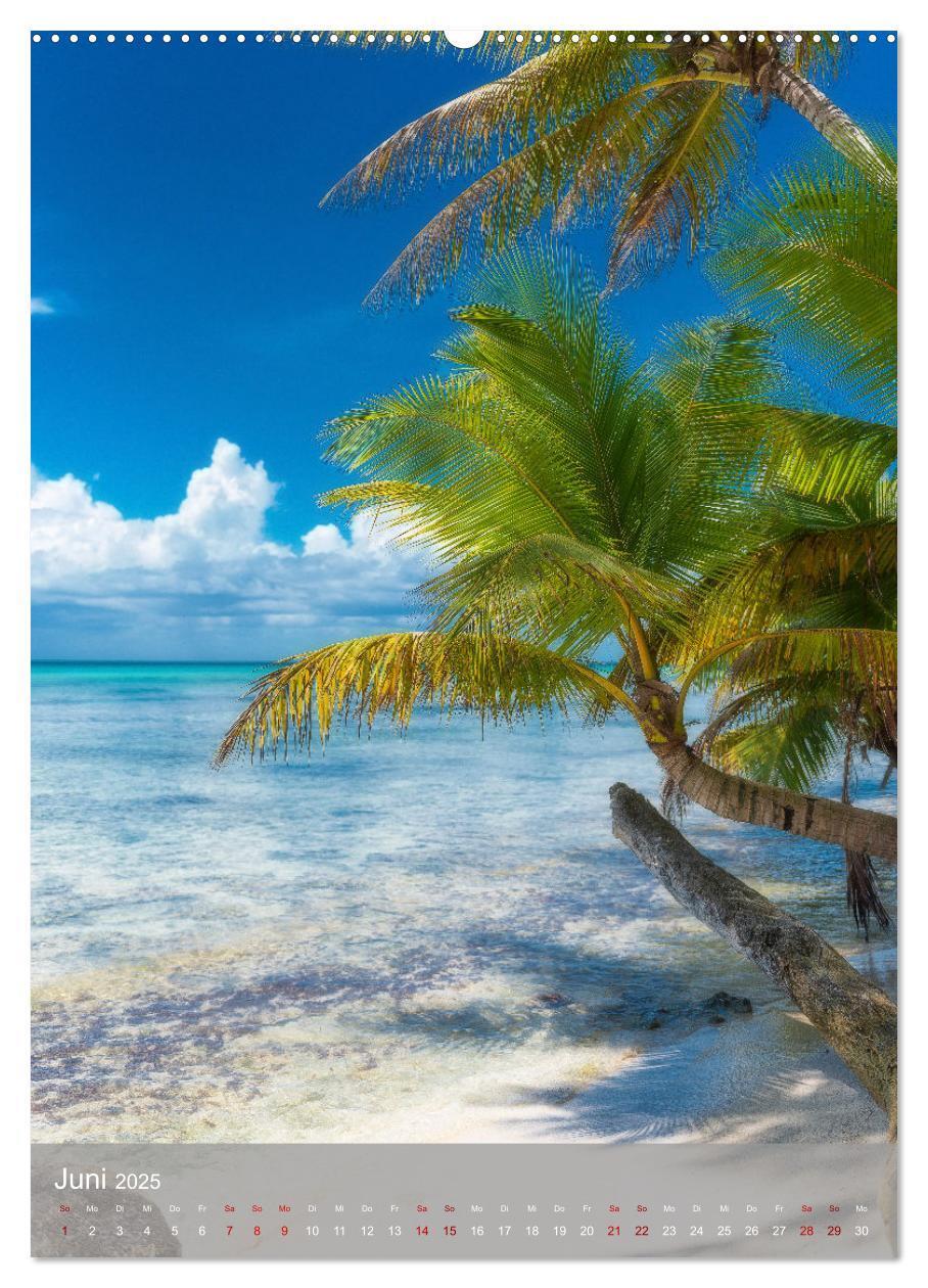 Bild: 9783435915682 | Karibischer Traum Isla Saona (Wandkalender 2025 DIN A2 hoch),...