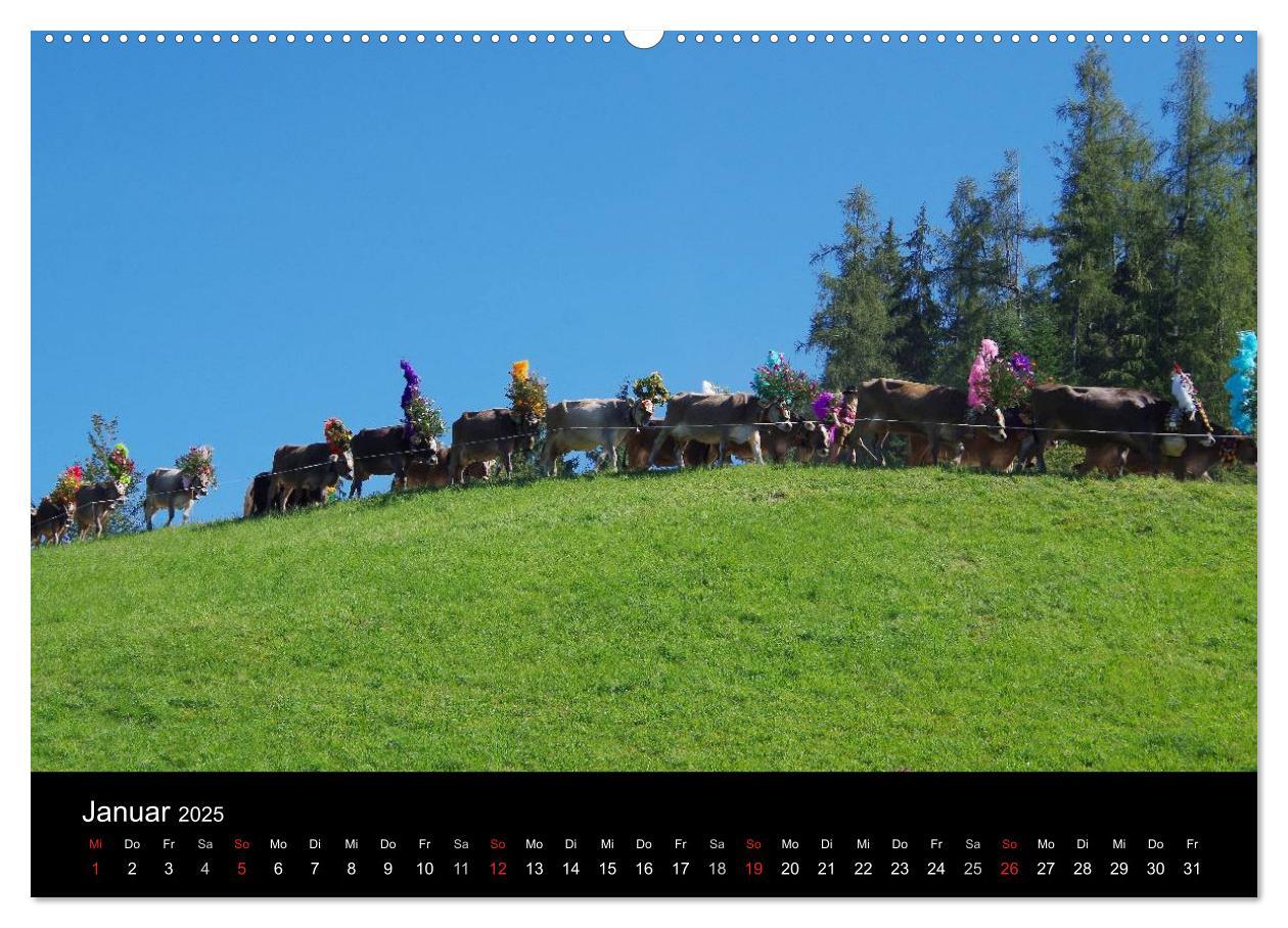 Bild: 9783435536597 | Almabtrieb in Tirol (Wandkalender 2025 DIN A2 quer), CALVENDO...