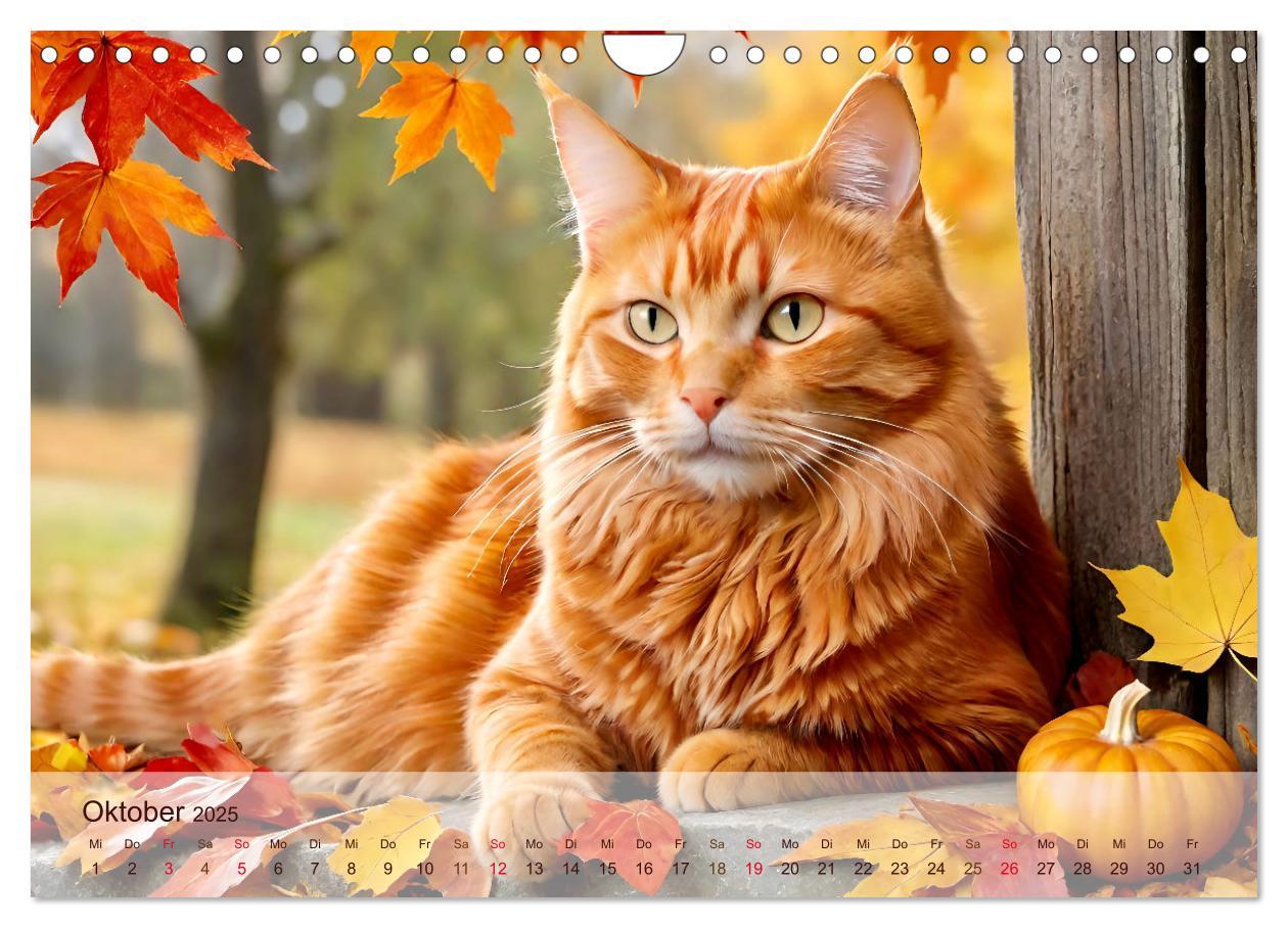 Bild: 9783383817830 | Rote Katzen (Wandkalender 2025 DIN A4 quer), CALVENDO Monatskalender