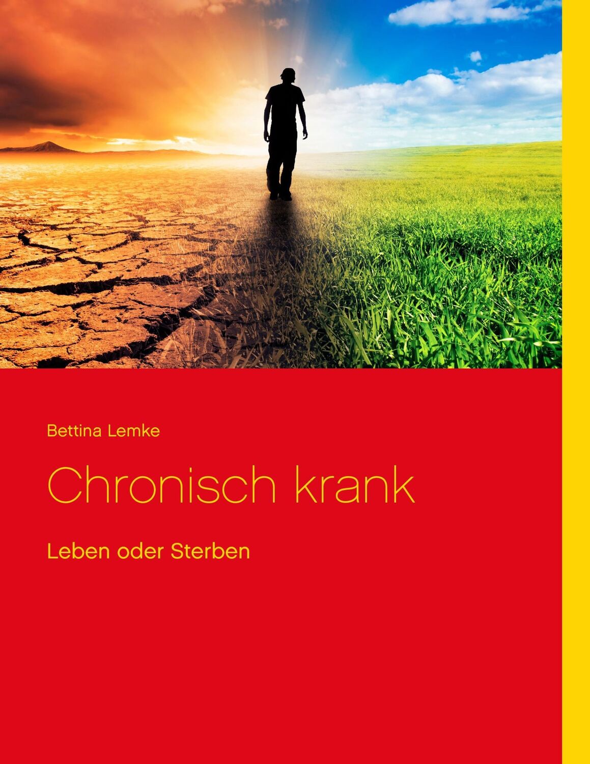 Cover: 9783734785153 | Chronisch krank | Leben oder Sterben | Bettina Lemke | Taschenbuch