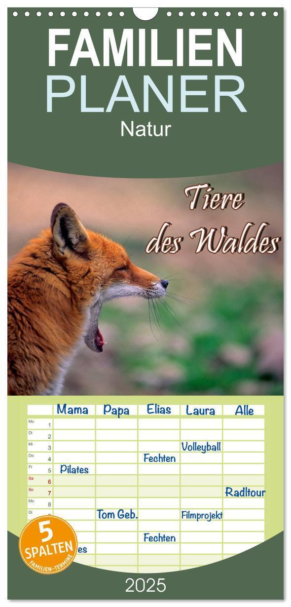 Cover: 9783457117606 | Familienplaner 2025 - Tiere des Waldes mit 5 Spalten (Wandkalender,...