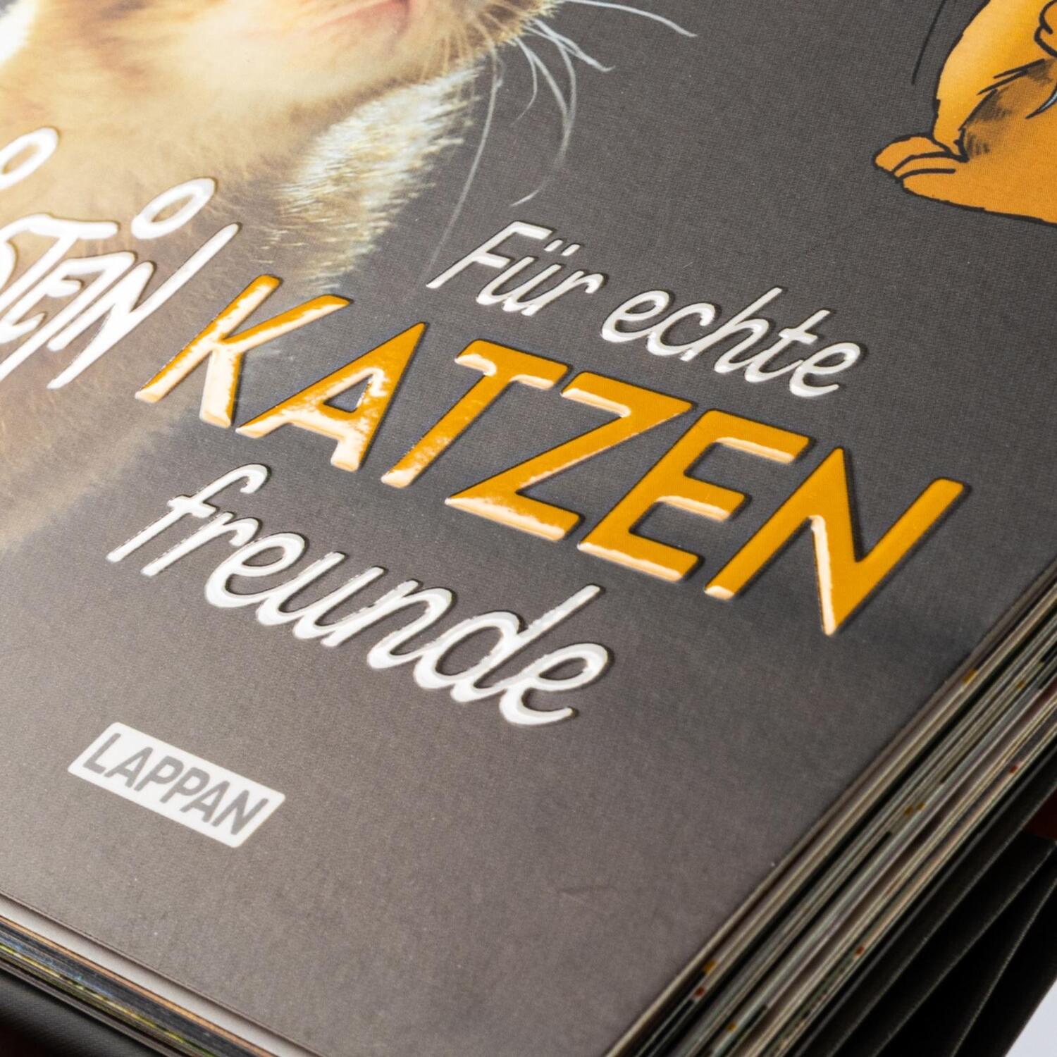 Bild: 9783830336280 | Uli Stein - Für echte Katzenfreunde | Uli Stein | Taschenbuch | 120 S.