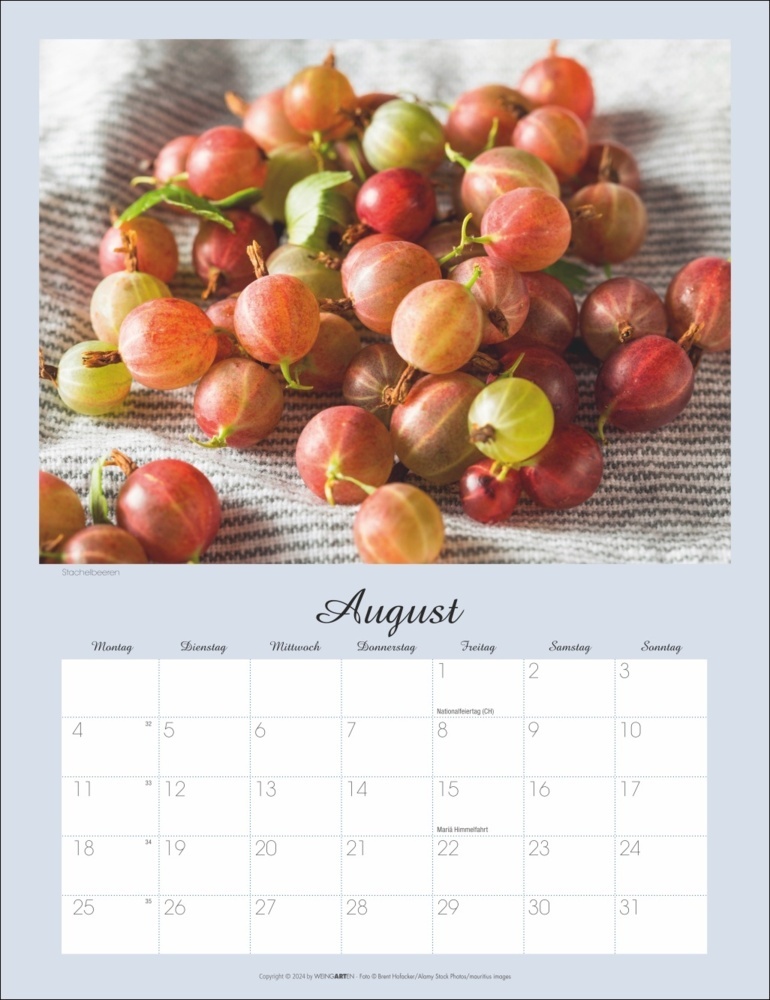 Bild: 9783839901465 | Beeren Kalender 2025 | Kalender | Spiralbindung | 14 S. | Deutsch