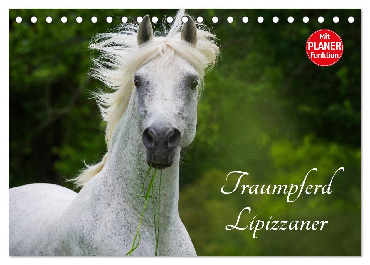 Cover: 9783435543991 | Traumpferd Lipizzaner (Tischkalender 2025 DIN A5 quer), CALVENDO...