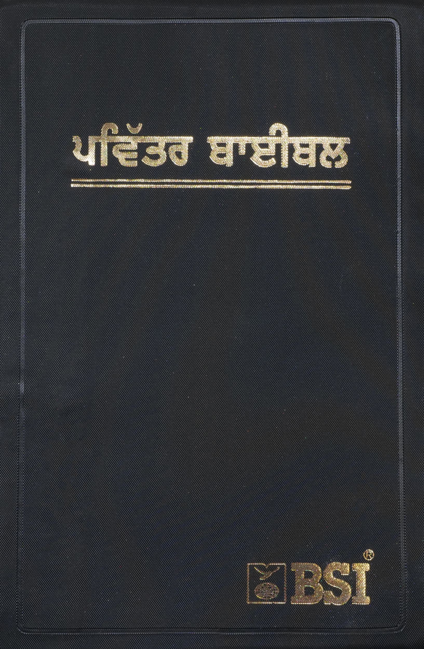 Cover: 9783438081971 | Punjabi | Bibel, traditionelle Übersetzung | Taschenbuch | 1529 S.