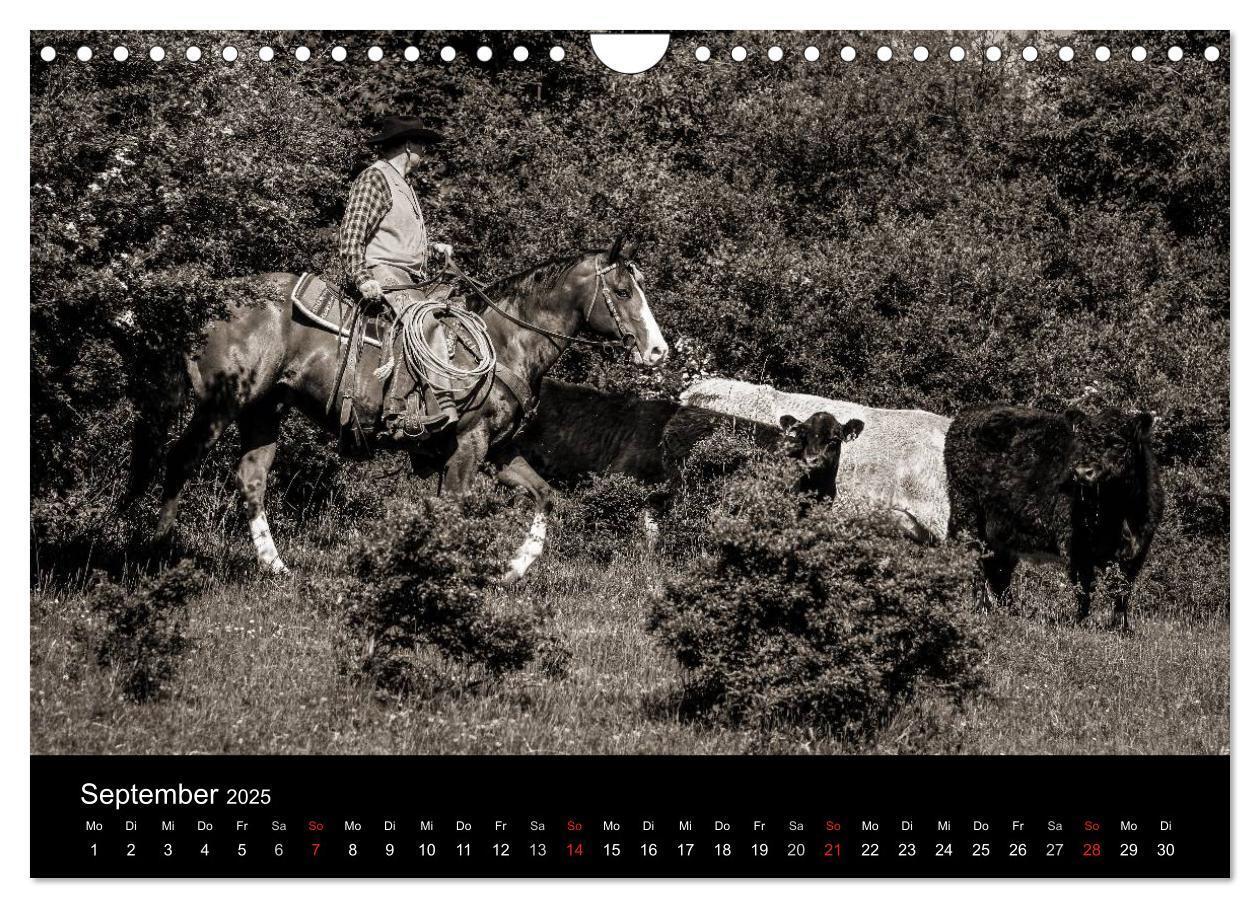 Bild: 9783435570072 | Westernreiten (Wandkalender 2025 DIN A4 quer), CALVENDO Monatskalender