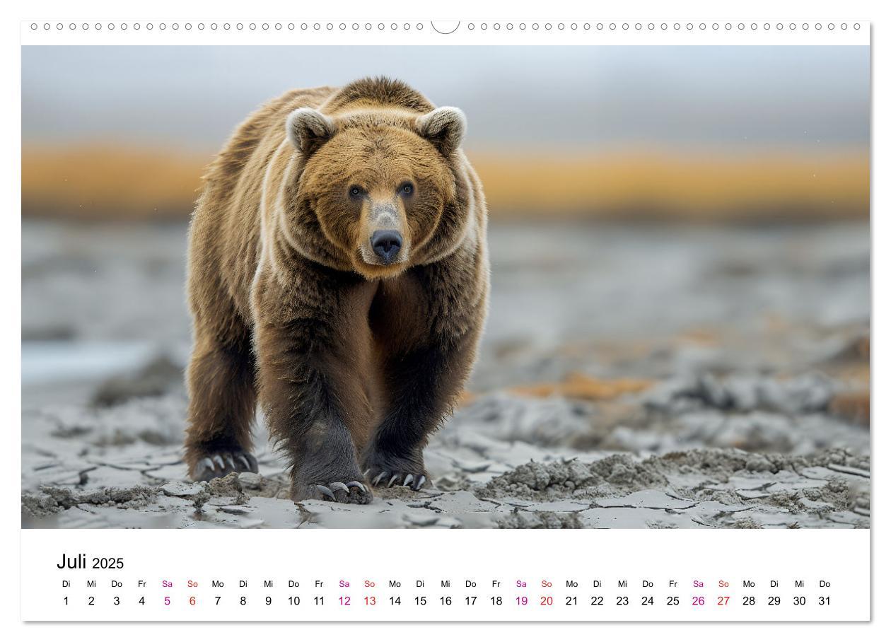 Bild: 9783457170472 | Bären - gefährlich nett (hochwertiger Premium Wandkalender 2025 DIN...