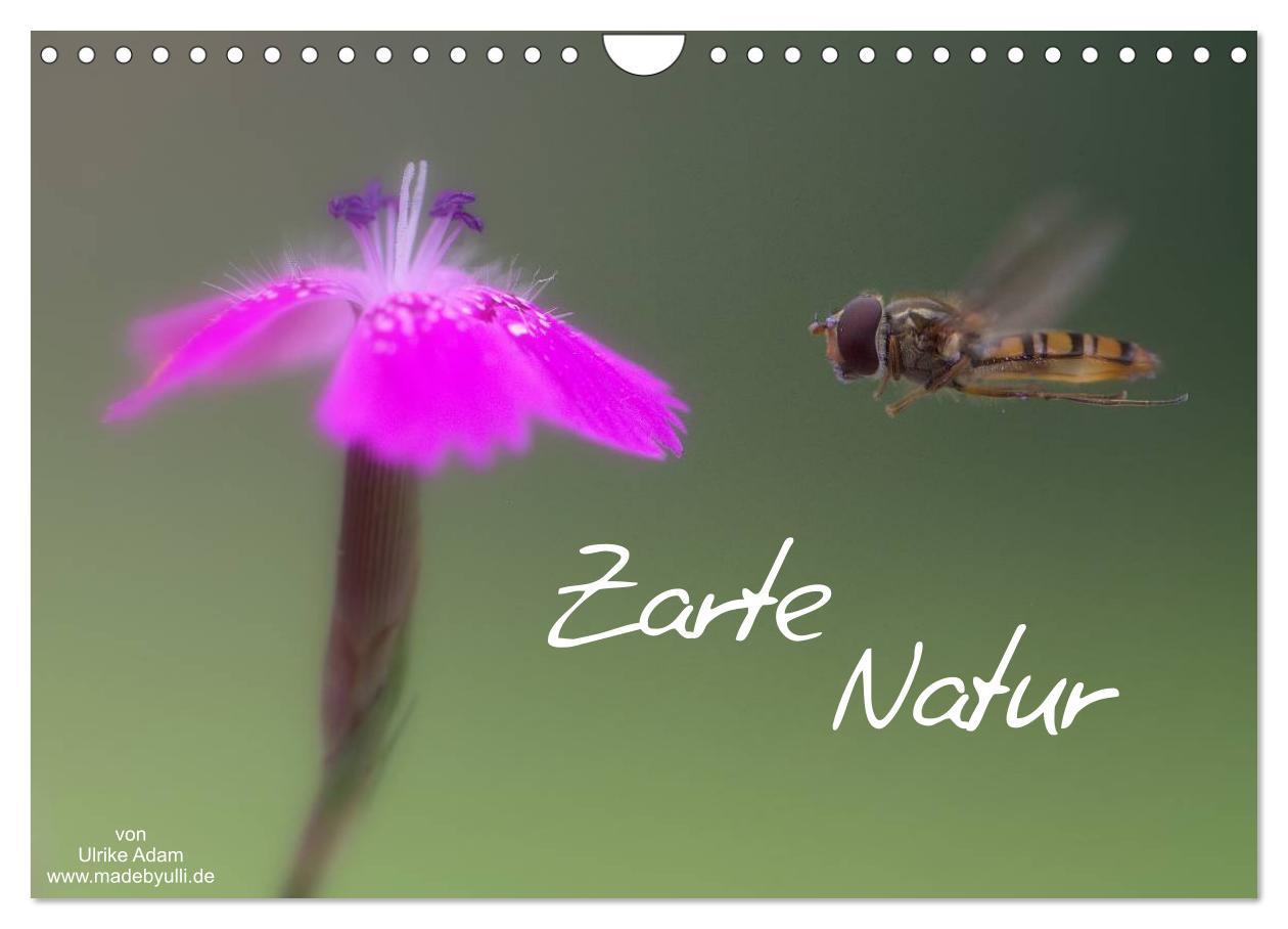 Cover: 9783435694761 | Zarte Natur 2025 (Wandkalender 2025 DIN A4 quer), CALVENDO...