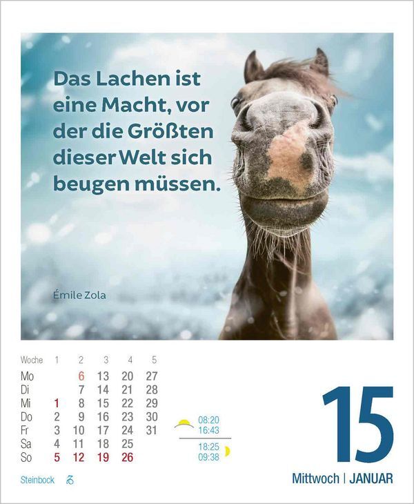 Bild: 9783731877356 | Lebensweisheiten 2025 | Korsch Verlag | Kalender | 328 S. | Deutsch