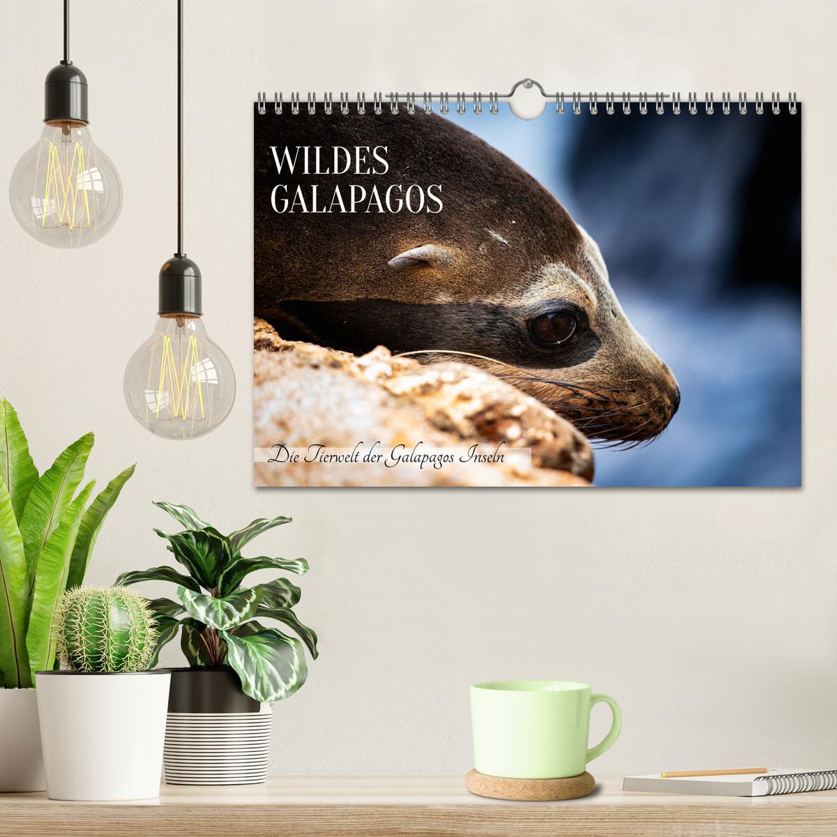 Bild: 9783383854200 | Wildes Galapagos - Die Tiere der Galapagos Inseln (Wandkalender...