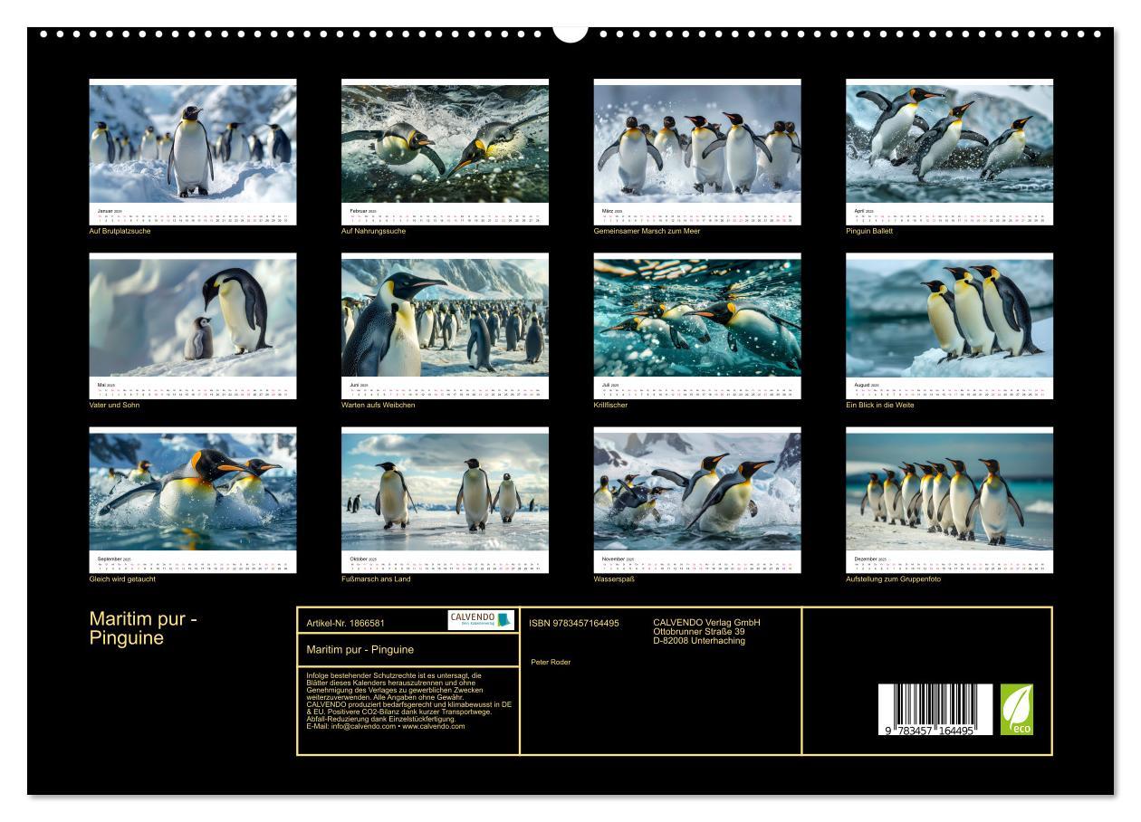 Bild: 9783457164495 | Maritim pur - Pinguine (hochwertiger Premium Wandkalender 2025 DIN...