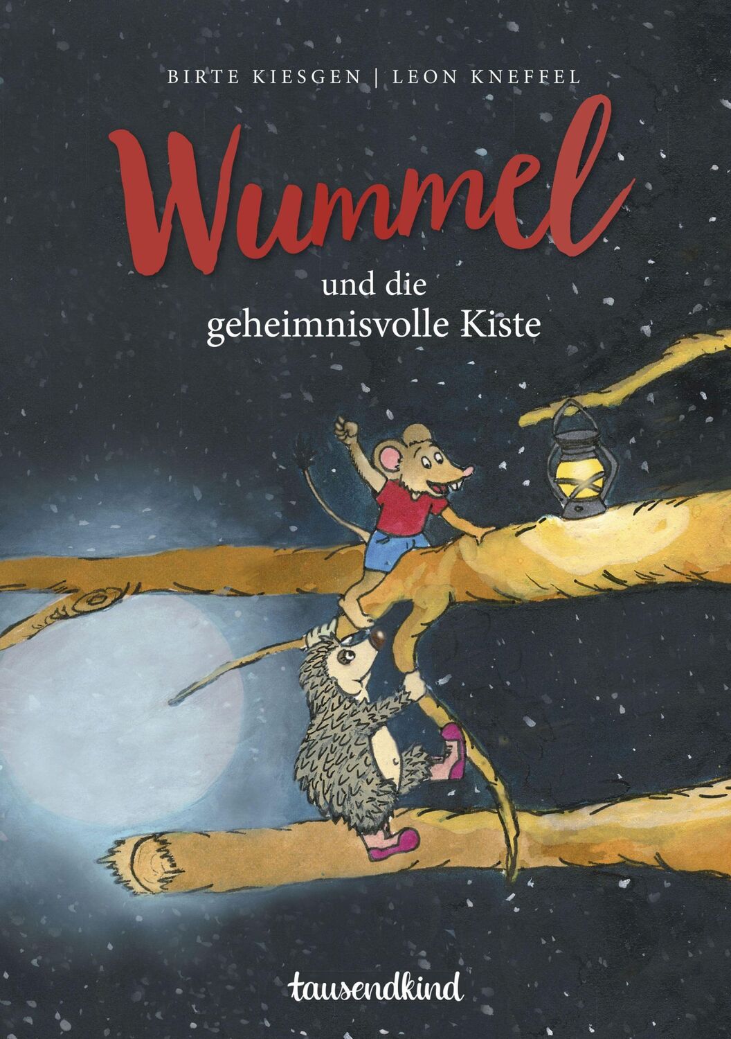 Cover: 9783985071180 | Wummel und die geheimnisvolle Kiste | Birte Kiesgen | Buch | 64 S.