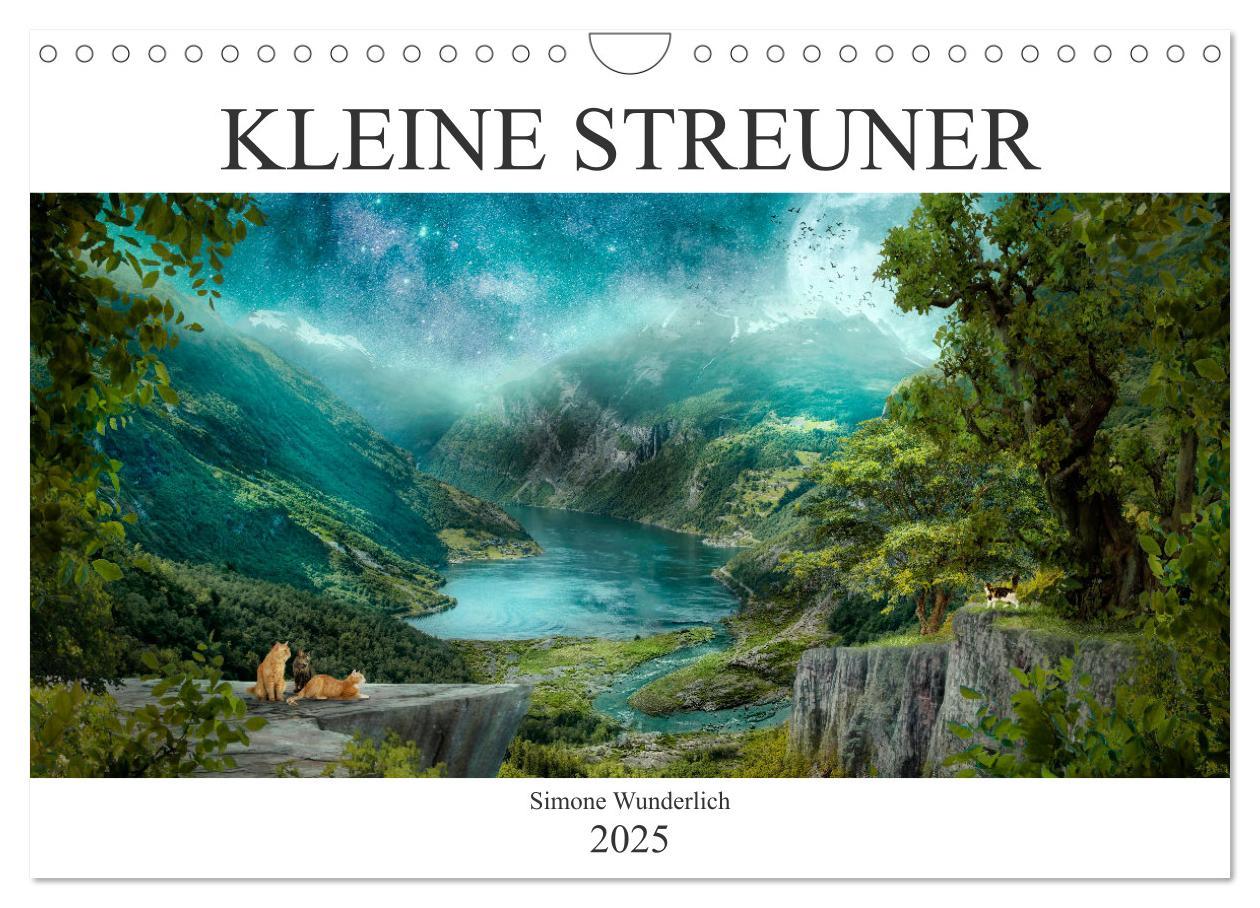 Cover: 9783435090976 | Kleine Streuner (Wandkalender 2025 DIN A4 quer), CALVENDO...