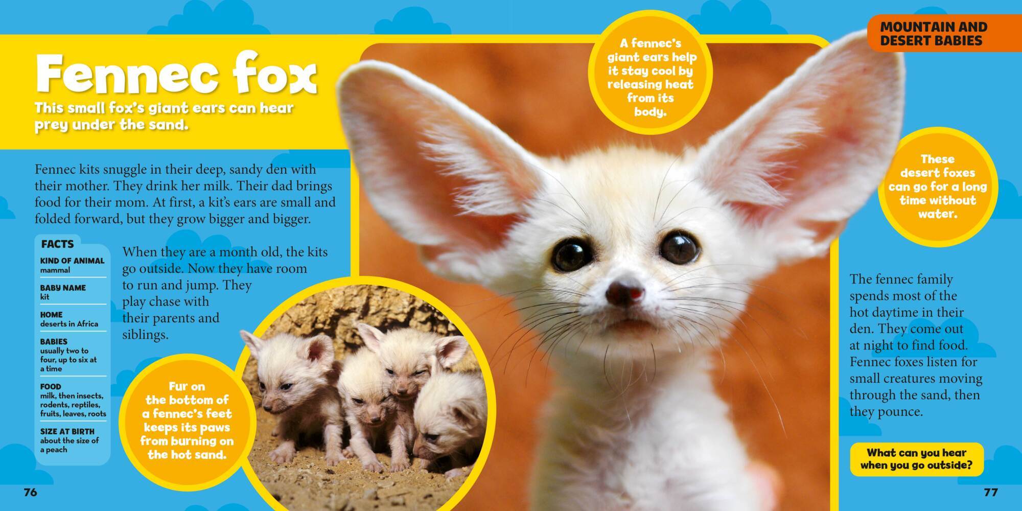 Bild: 9788863125412 | Mein großes Buch der Tierbabys | National Geographic Kids | Maya Myers