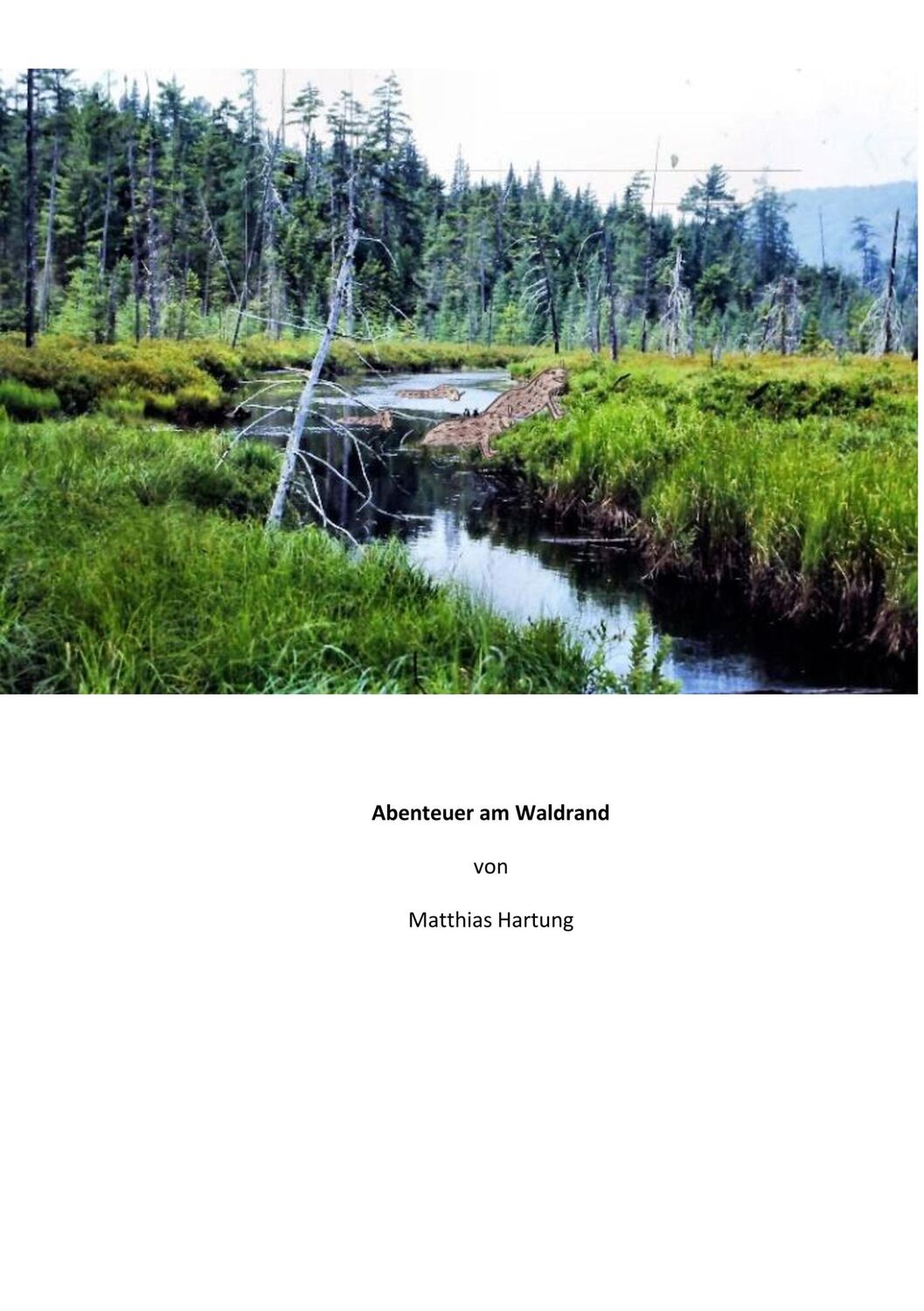 Cover: 9783740708405 | Abenteuer am Waldrand | Matthias Hartung | Taschenbuch | Booklet