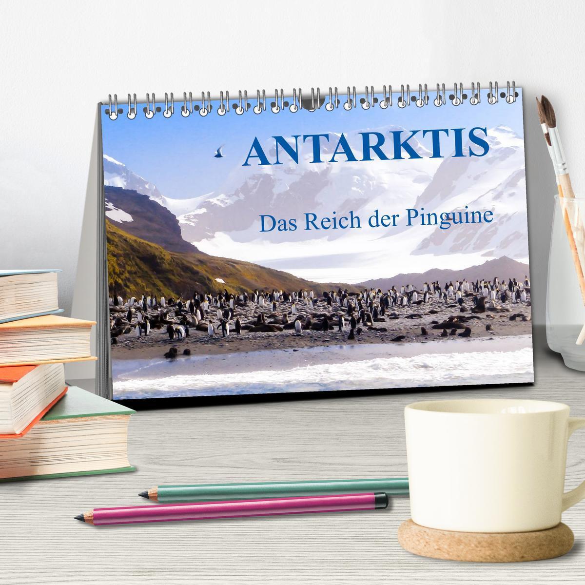 Bild: 9783435801190 | Antarktis - Das Reich der Pinguine (Tischkalender 2025 DIN A5...