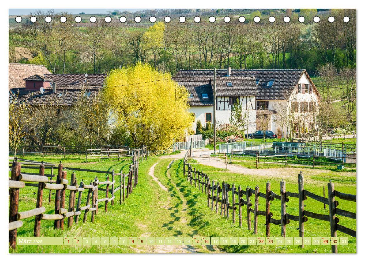 Bild: 9783435388066 | Rheinhessen-Impressionen (Tischkalender 2025 DIN A5 quer), CALVENDO...