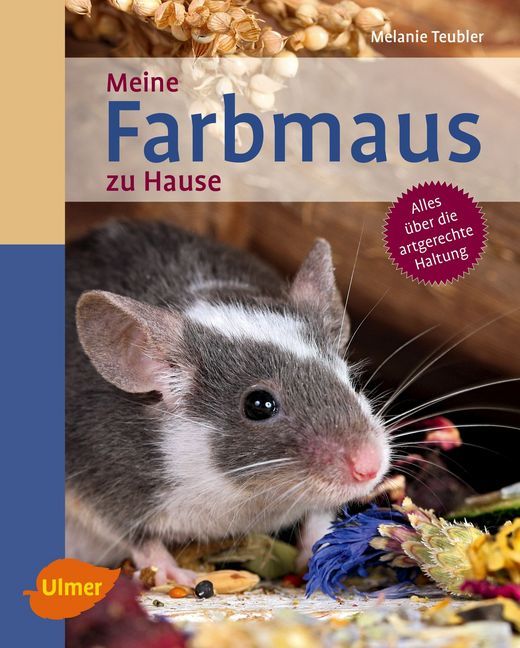 Cover: 9783818601041 | Meine Farbmaus zu Hause | Alles über die artgerechte Haltung | Teubler