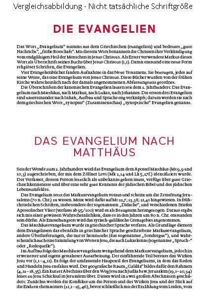 Bild: 9783460440135 | Die Bibel. Mit Sonderseiten für junge Menschen. | Agnes Wuckelt | Buch