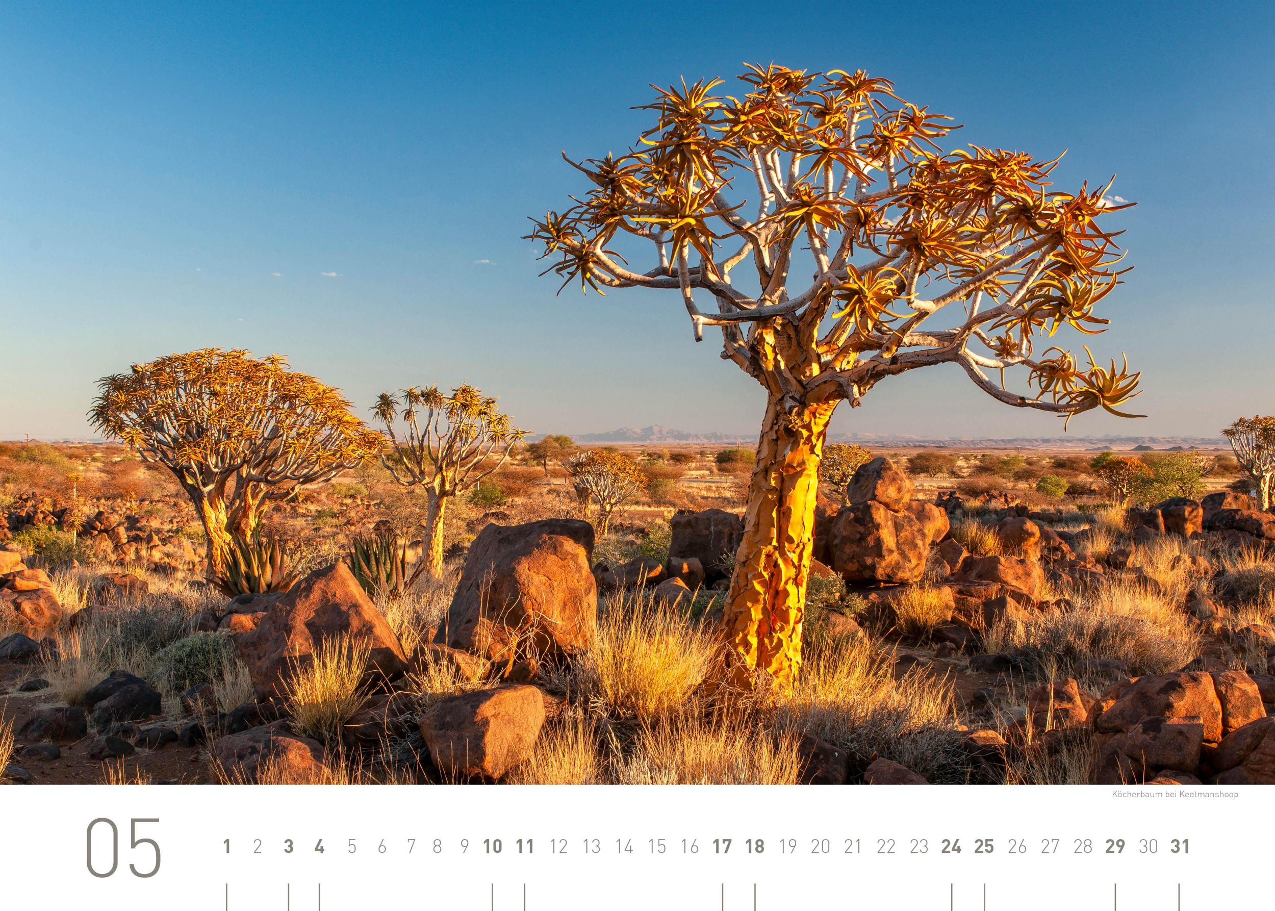 Bild: 9783968555546 | 360° Namibia Exklusivkalender 2025 | Christian Heeb | Kalender | 13 S.