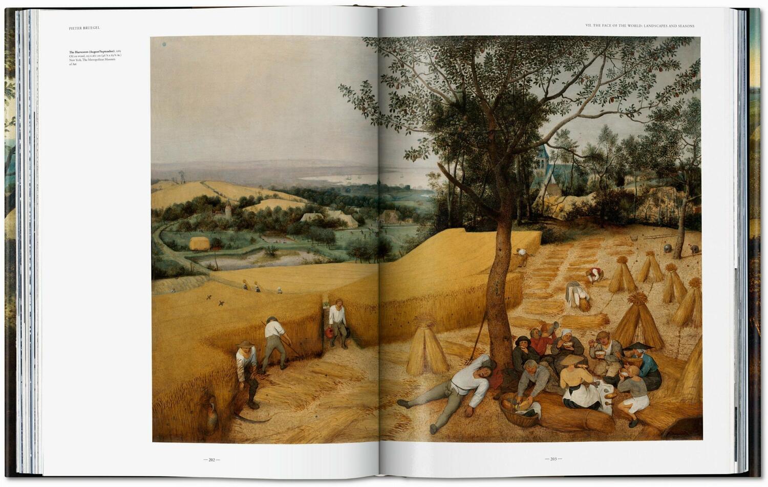 Bild: 9783836583619 | Bruegel. the Complete Works | Jürgen Müller (u. a.) | Buch | 492 S.