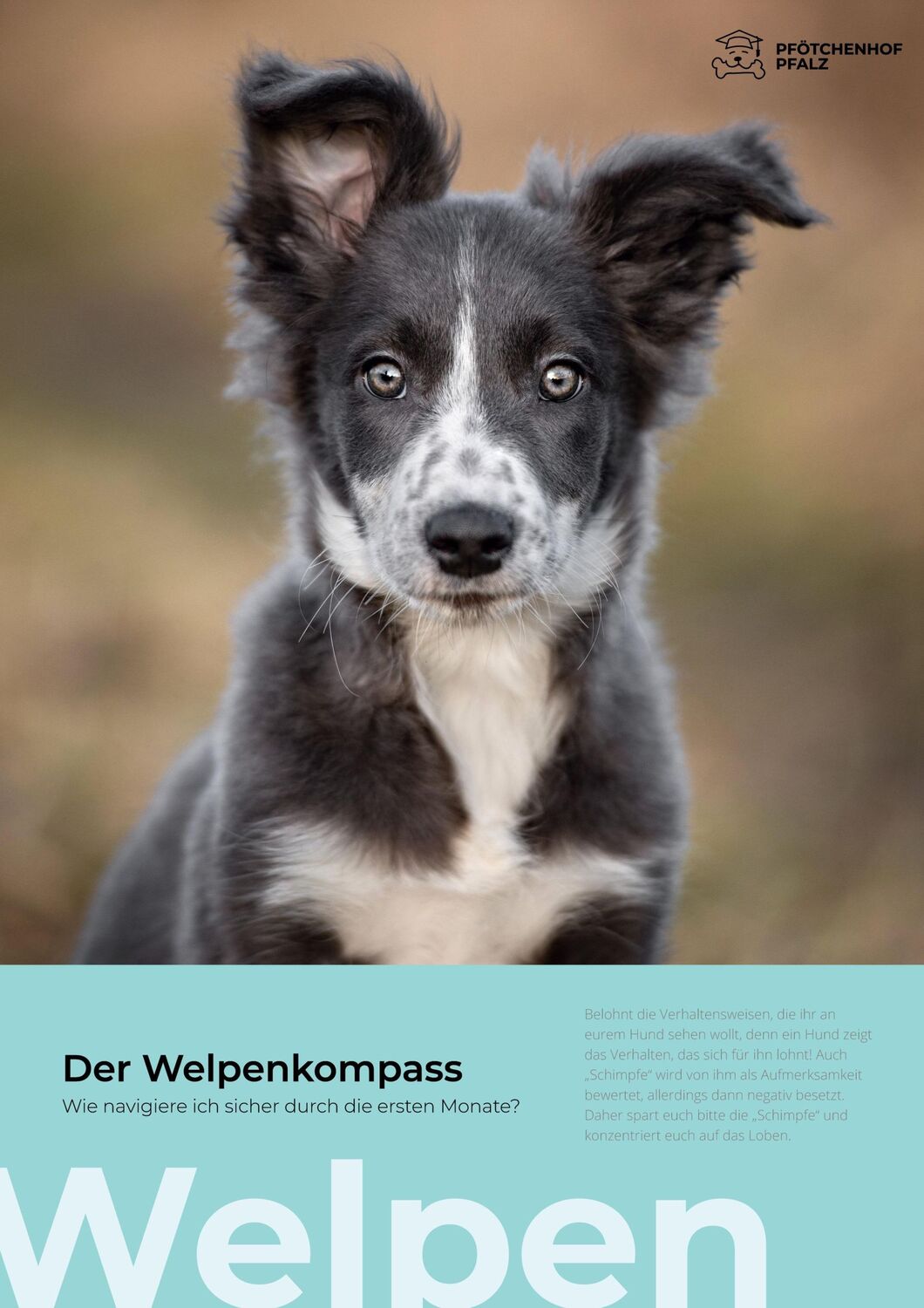 Cover: 9783754347164 | Der Welpenkompass | Wie navigiere ich sicher durch die ersten Monate