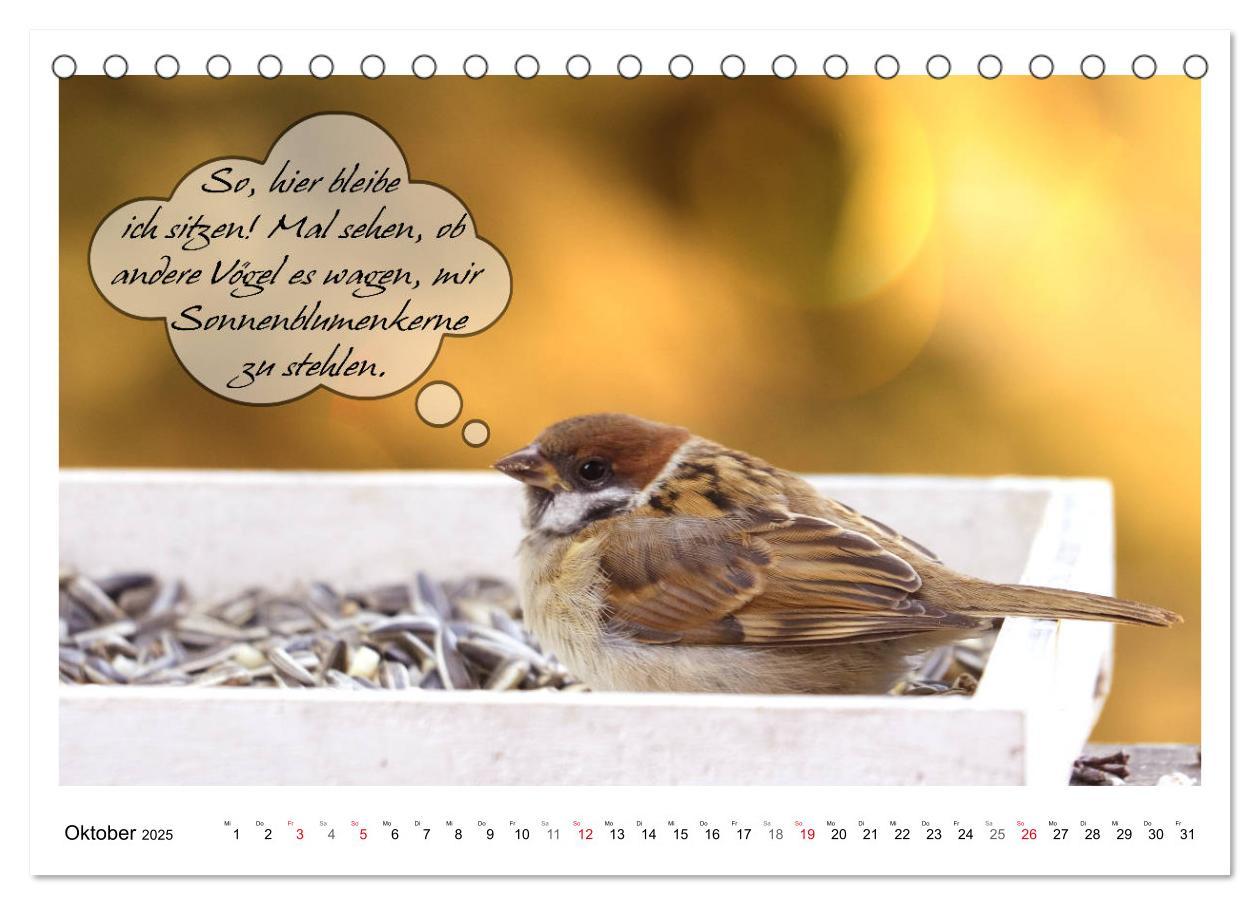 Bild: 9783435113446 | Vögel mit Humor (Tischkalender 2025 DIN A5 quer), CALVENDO...