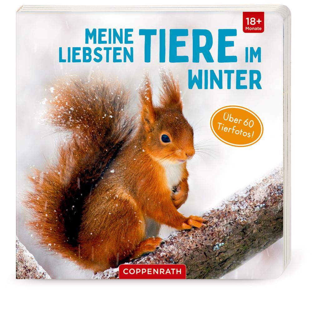 Cover: 9783649639190 | Meine liebsten Tiere im Winter | Buch | 28 S. | Deutsch | 2021