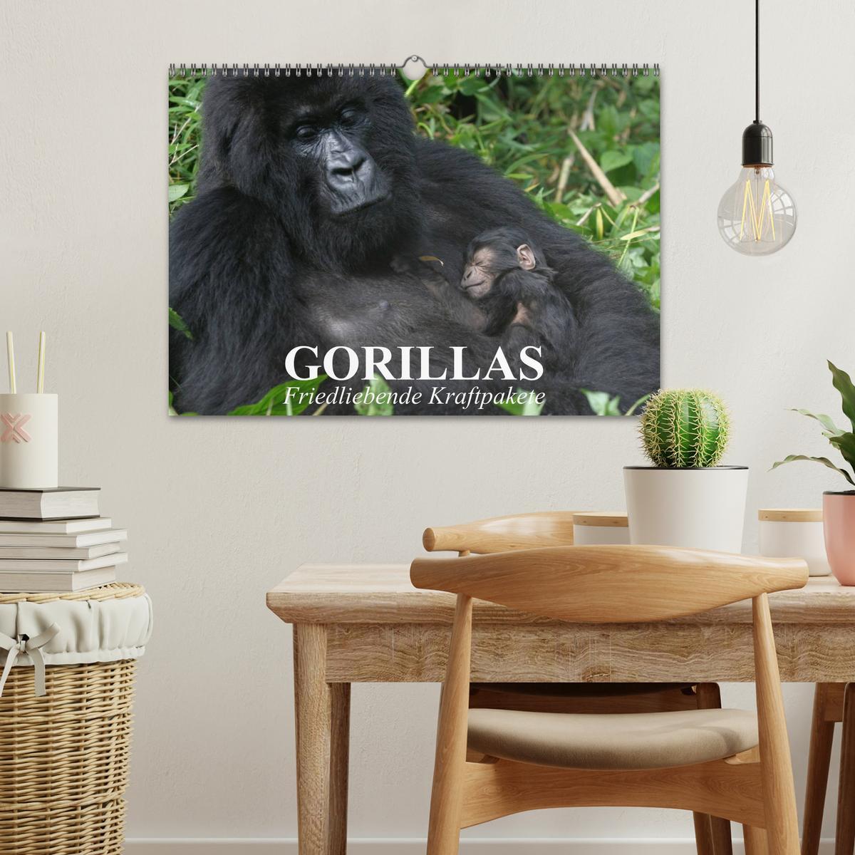 Bild: 9783435600984 | Gorillas. Friedliebende Kraftpakete (Wandkalender 2025 DIN A3...