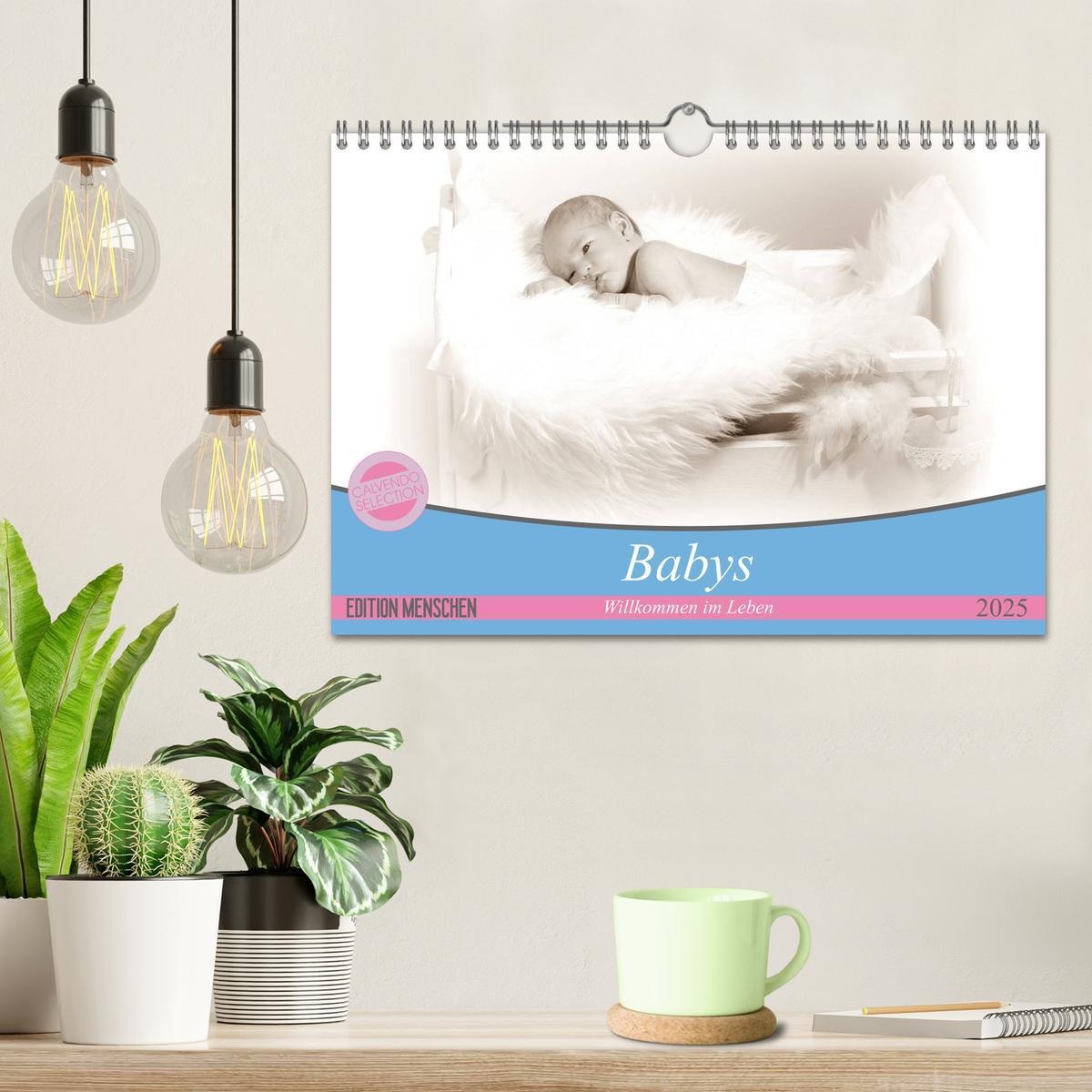 Bild: 9783435707362 | Babys - Willkommen im Leben (Wandkalender 2025 DIN A4 quer),...