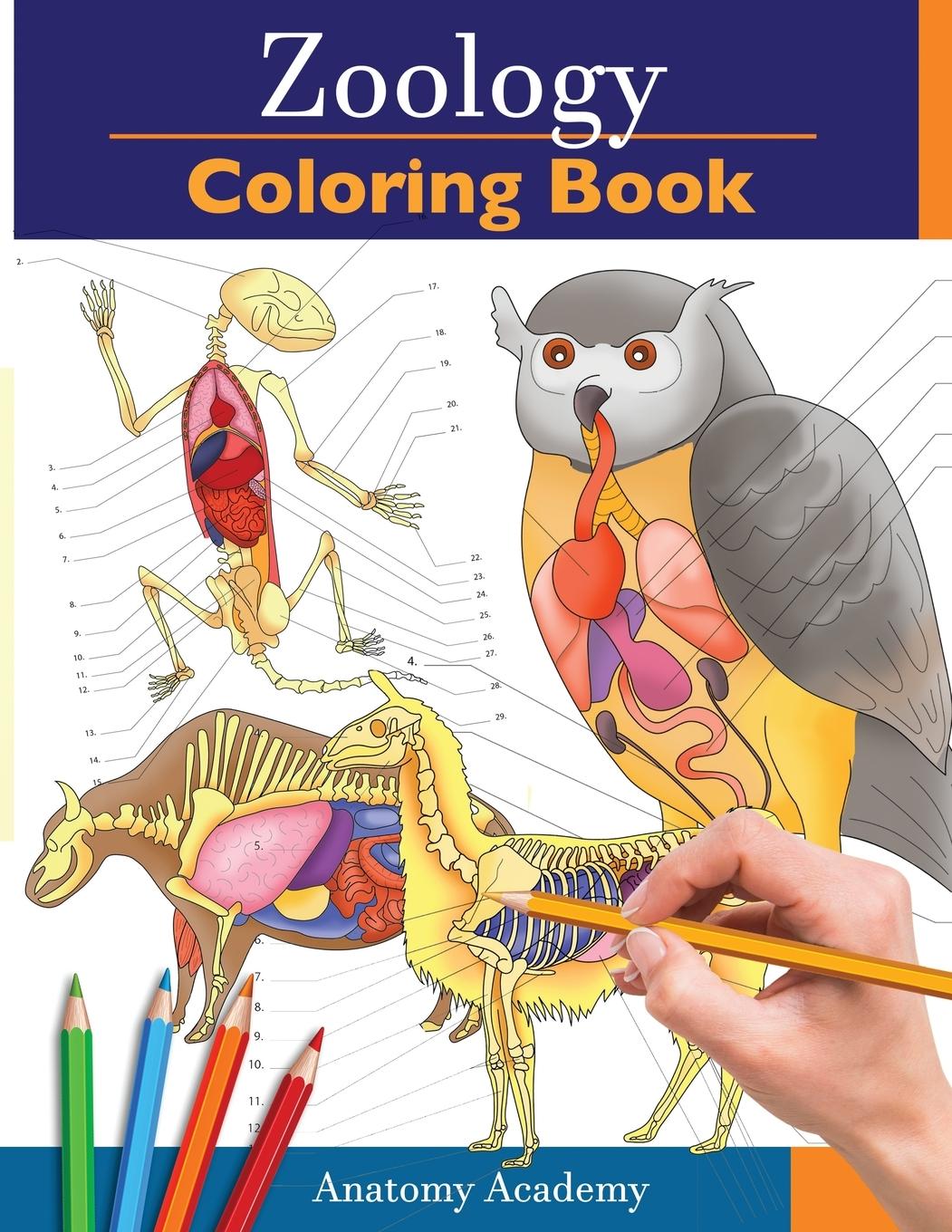 Cover: 9781914207099 | Zoology Coloring Book | Anatomy Academy | Taschenbuch | Englisch