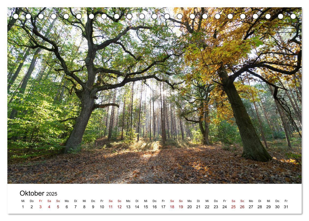 Bild: 9783435267125 | Altmarkliebe (Tischkalender 2025 DIN A5 quer), CALVENDO Monatskalender