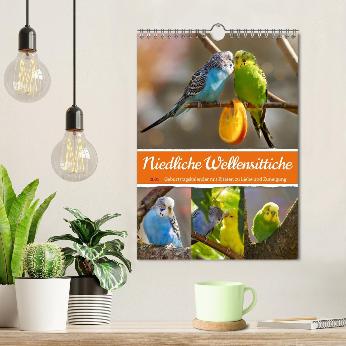 Bild: 9783435891009 | Niedliche Wellensittiche (Wandkalender 2025 DIN A4 hoch), CALVENDO...